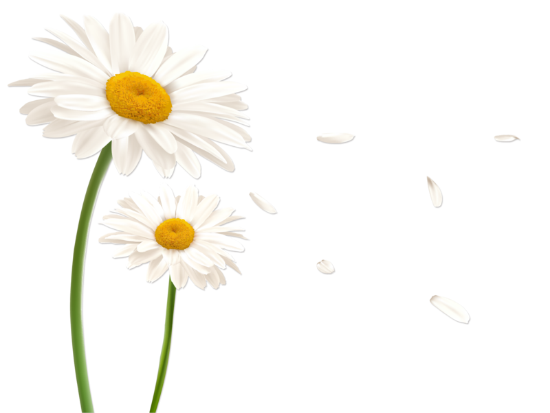 ABUIABAEGAAgpfyr2QUoiM271gcw4g44jws