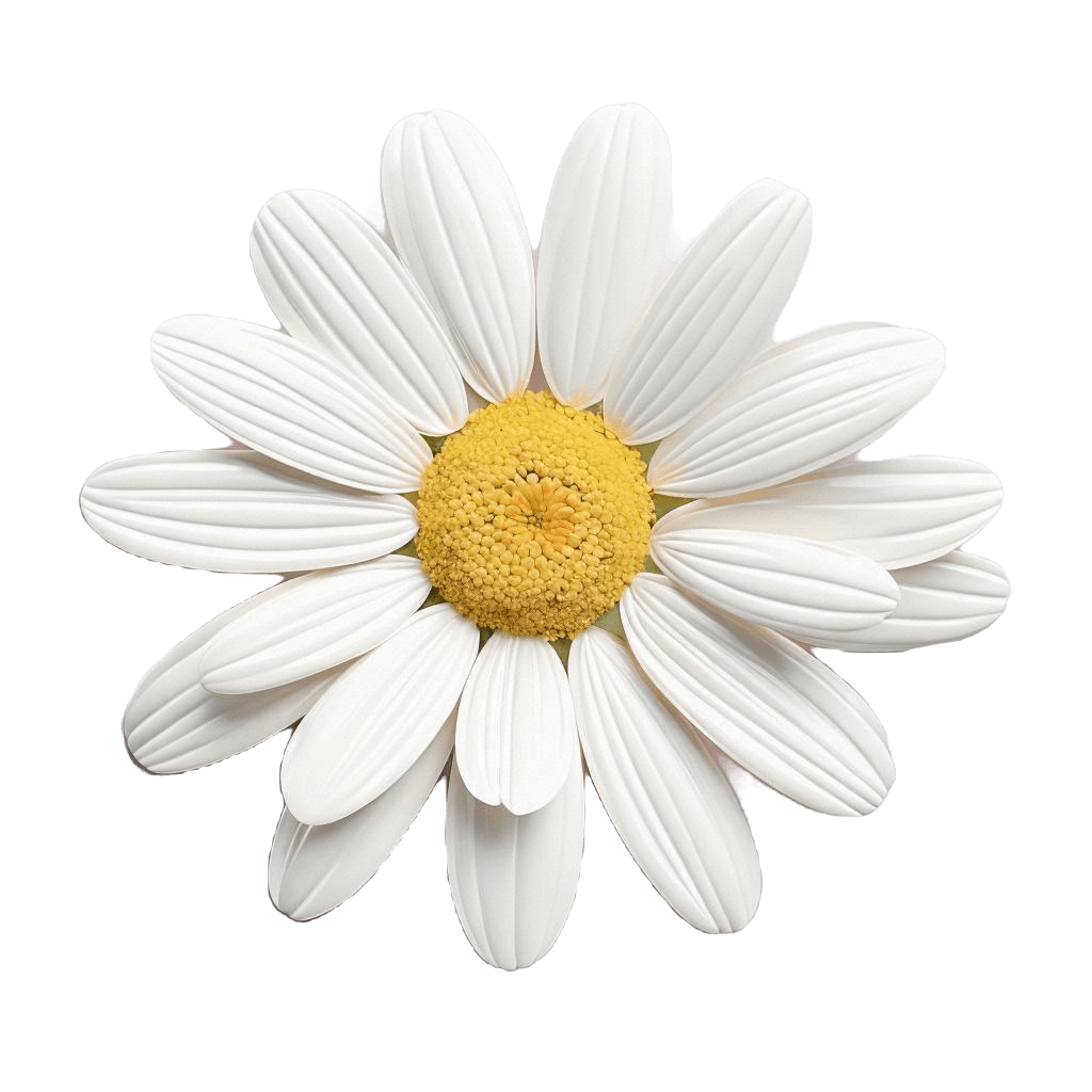 ABOUT US - China Nanbao Biotechnology | Leading Pyrethrum Producer and ...